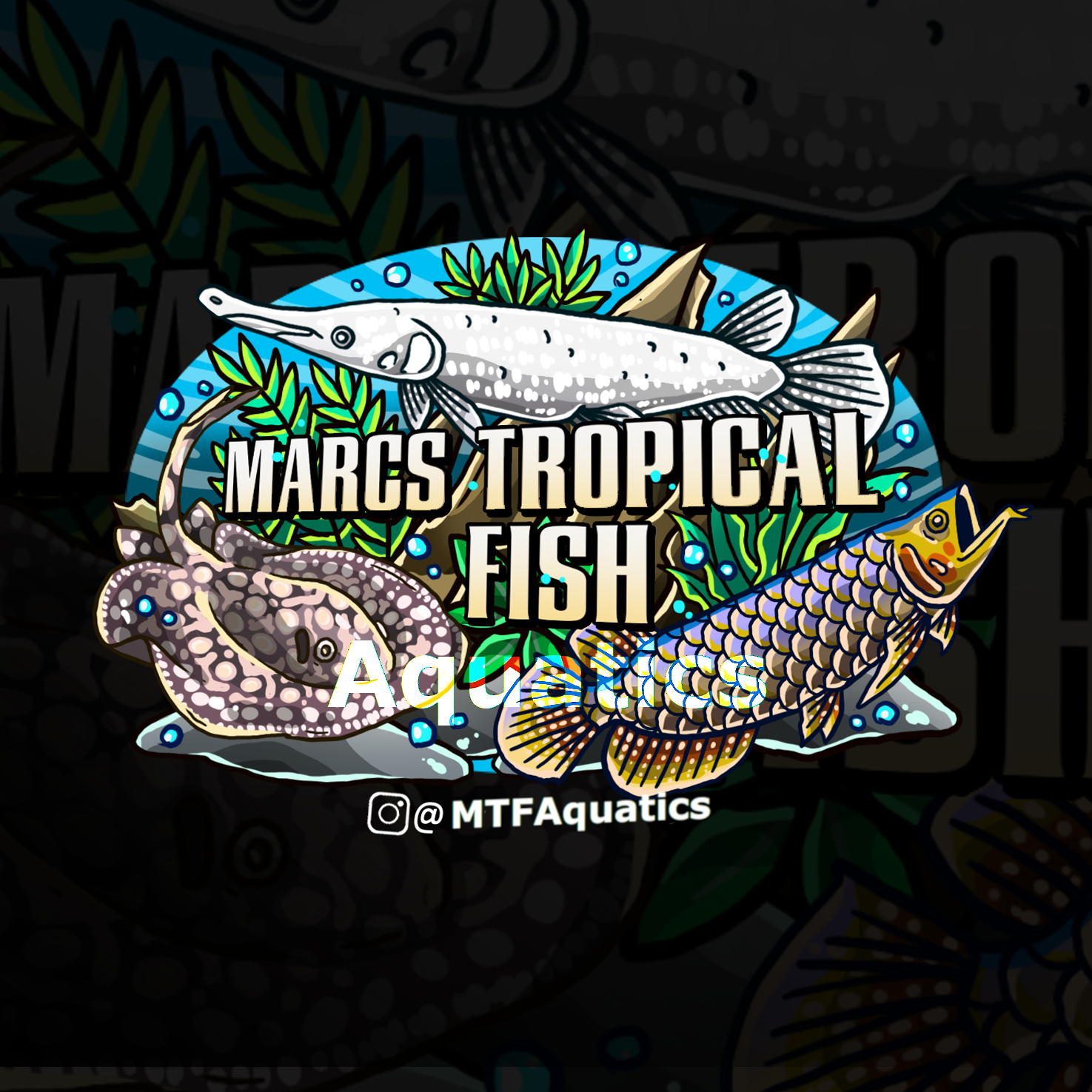 MTF Logo Tropical Fish Online