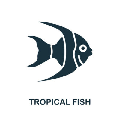 Tropical Fish