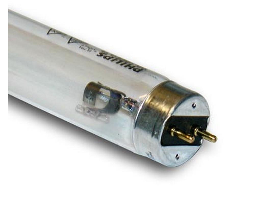 16W Phillips Lamps