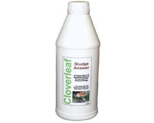 Cloverleaf Sludge Answer 800g
