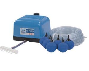 Aqua Forte Air pump Flow V-60 SET (with line / stones)