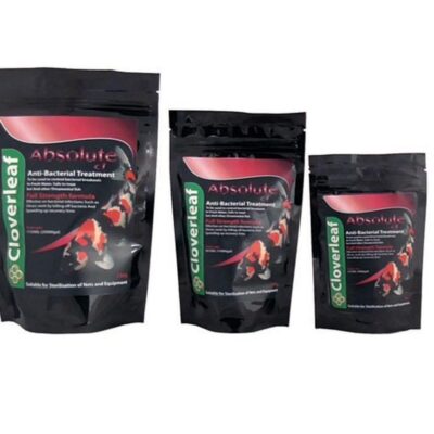 Cloverleaf ABSOLUTE CT (Chlorimine T) 55g