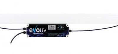 EVO 75w UVC