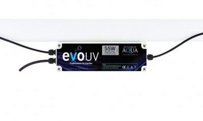 EVO 55w UVC