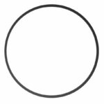 Spare O Ring UB Filter Lid