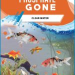 Phosphate Gone (Box of 6) for RP Reactor