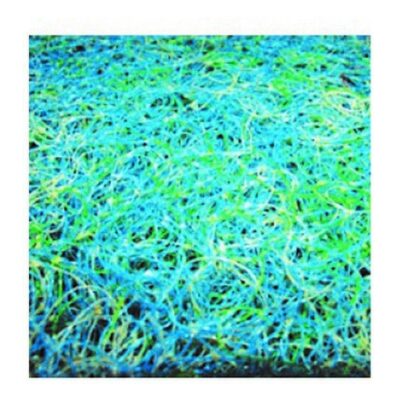 Japanese Mat (1.2m x 1m) Economy