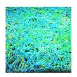 Japanese Mat (1.2m x 1m) Top Grade