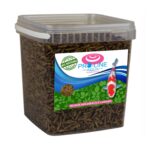 Pro-Line Aqua - BSF (Black Soldier fly) Larvae 2.5ltr 400g