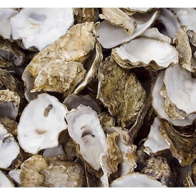 Oyster Shell in Net Bag 5kg